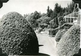 Hatley Park terrace pathway from east