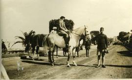 Woman on a horse, Egypt, with attendants