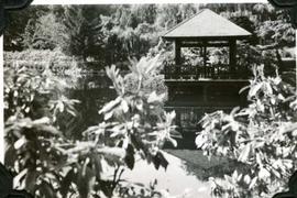 Japanese Garden pavilion, Hatley Park