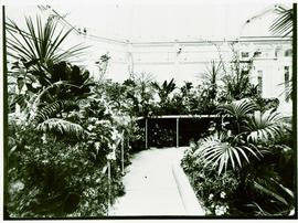 Inside conservatory with central dome on right