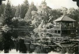 Japanese Garden, Hatley Park with pavilion and island