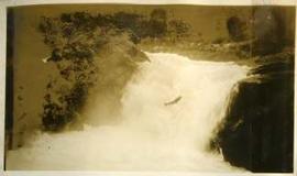 Fish leaping up falls