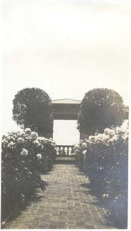 Brick path in Italian garden, with flowers and Bay trees