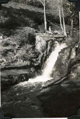 Muriel at Hatley Park glen with culvert waterfall