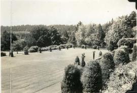 Hatley Park, terrace lawn from terrace