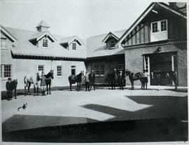 Stables courtyard with 8 horses on display