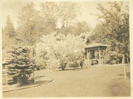 Gazebo in Japanese garden with magnolia in bloom