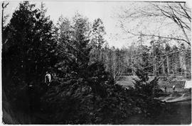 Preparing the ground for the Italian garden and croquet lawn. Looking north