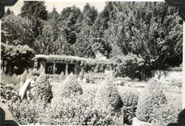 Hatley Park, Italian Garden from south east