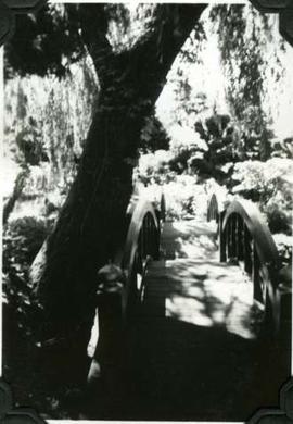 Japanese Garden bridge, Hatley Park