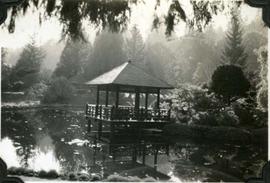 Japanese Garden pavilion and pond, Hatley Park