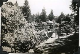 Japanese Garden at Hatley Park