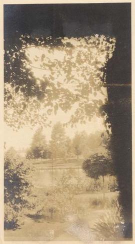 View of pond, Japanese garden