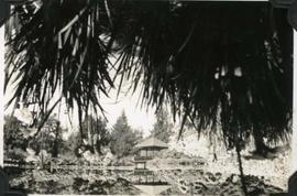 Japanese Garden pavilion and pond, Hatley Park