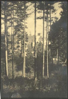 Hatley Castle through the trees