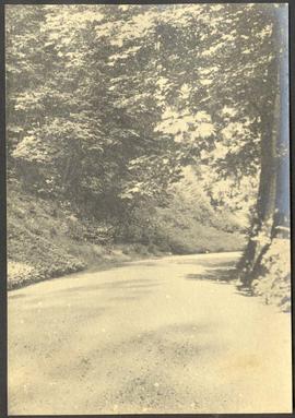 Road through grounds, Hatley Park