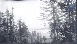 View through trees to lagoon, Hatley Park