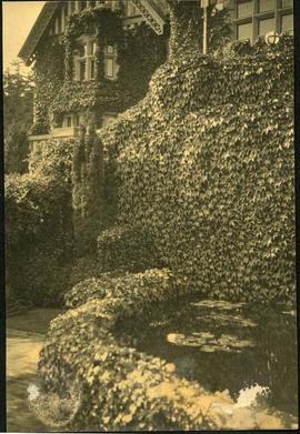 Ivy covered lion head fountain below south terrace