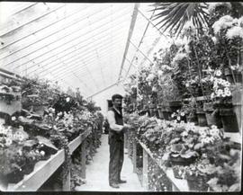 Phillip Francis Hayward in a greenhouse