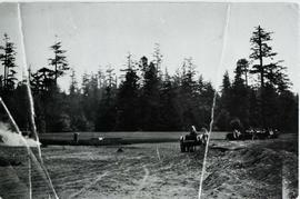 Ground being prepared for Italian garden and croquet lawn. Looking east