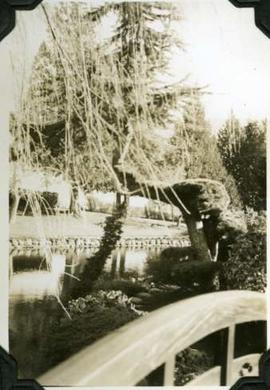 Japanese Garden, Hatley Park