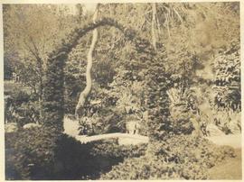 Garden arch, Hatley Park