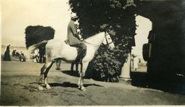 Woman on a horse, Egypt