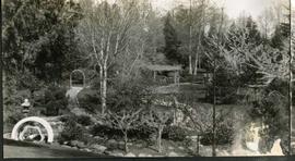 Japanese garden panorama, part 1