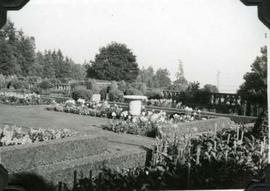 Hatley Park, Italian Garden from north west looking south